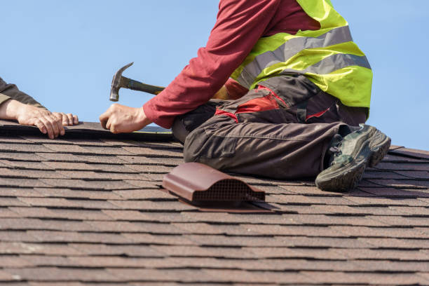 Roof Gutter Cleaning in Camden, OH