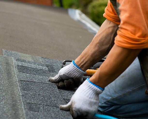 Best Best Roofing Contractors  in Camden, OH