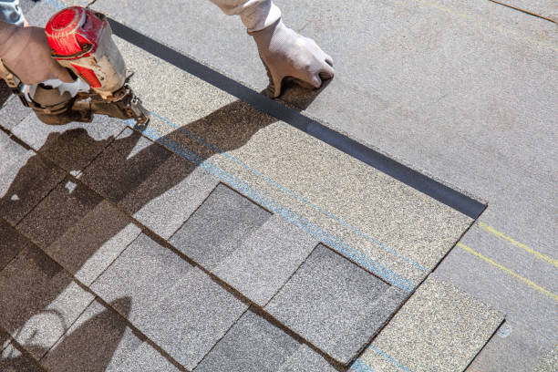 Best Roof Maintenance Services  in Camden, OH